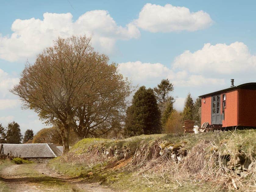 Surrounding area | Lapwing Shepherds Hut - Atholl Estate, Pitlochry