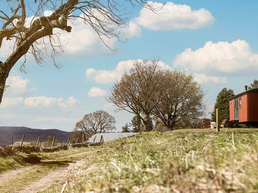 Surrounding area | Lapwing Shepherds Hut - Atholl Estate, Pitlochry