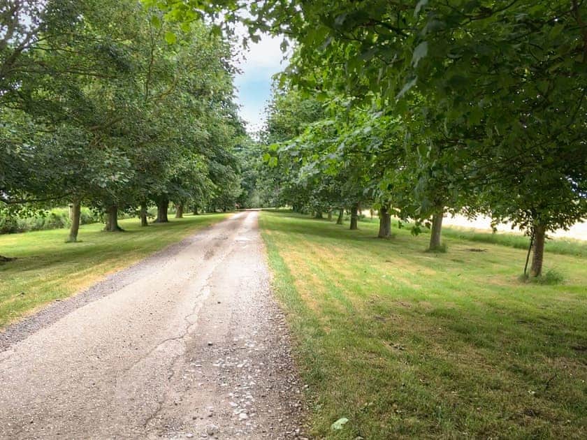 Garden and grounds | Heron - Caves Farm Barns, Near Ely