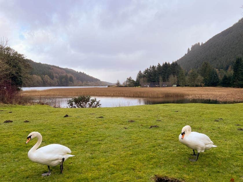 View | Oich View - Great Glen Waterside Cottages, Spean Bridge
