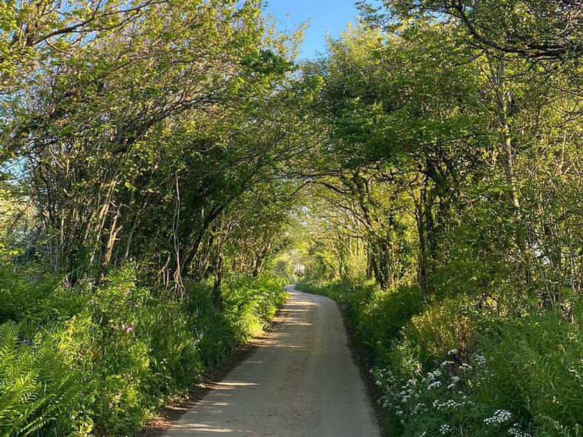 Surrounding area | Maggie’s Place, Holsworthy