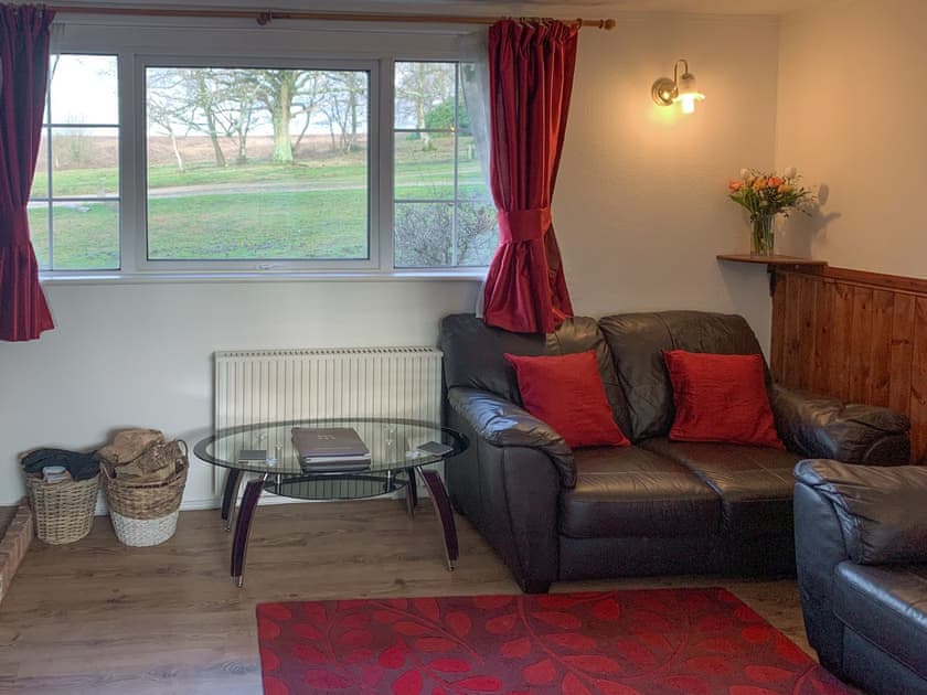 Living area | Brookside, Shobley, near Ringwood