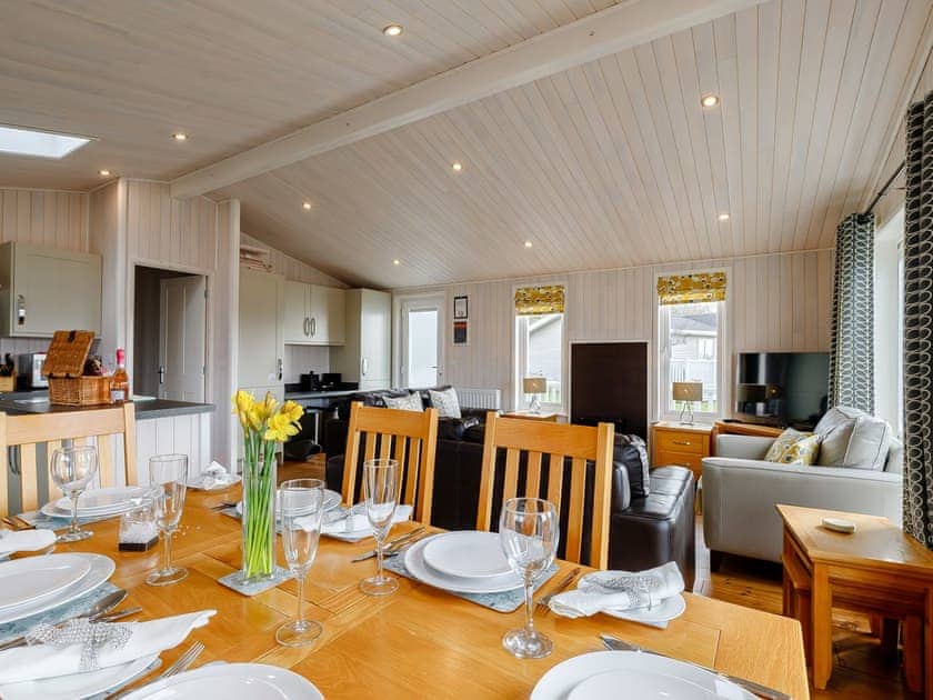 Open plan living space | Acer Lodge, Mercia Marina, Willington