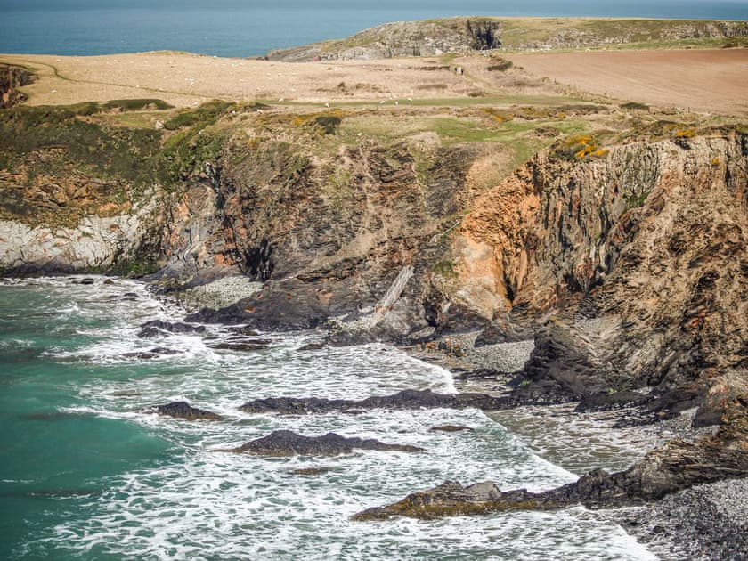 Surrounding area | Tenby Harbour View, Tenby