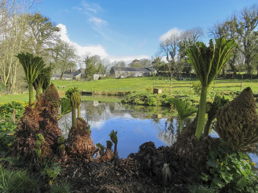 Pond and Meadow | Drovers, Advent