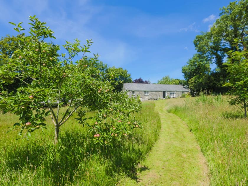 Walkways through the Meadow  | Drovers, Advent