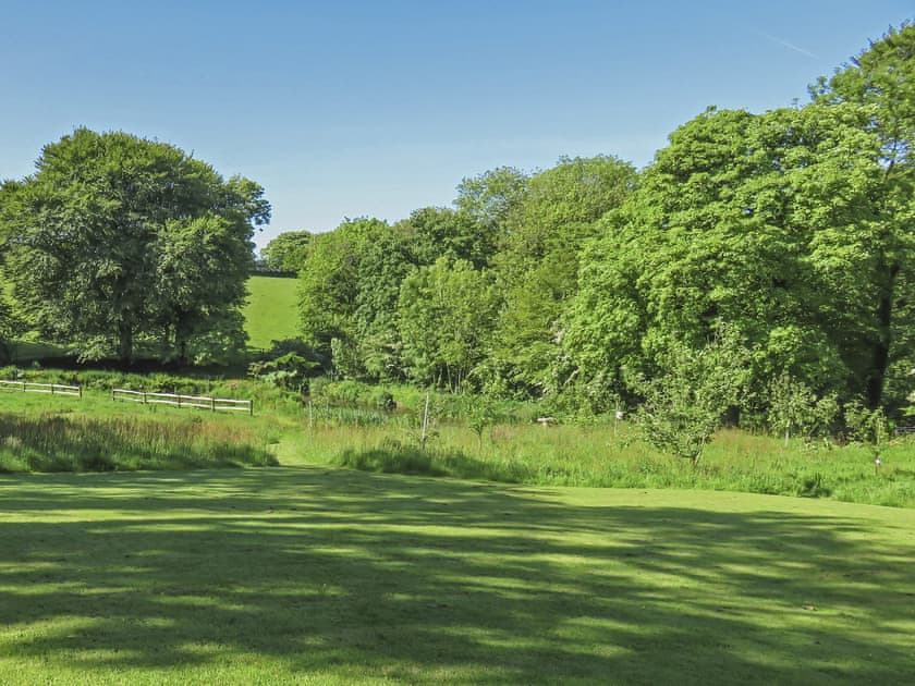 Lawn and Meadow | Drovers, Advent