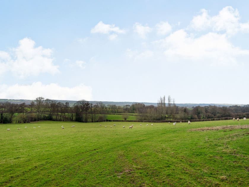 View | Horsecroft - East View Farm, Westbrook
