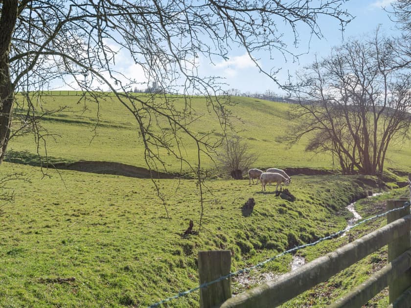 Surrounding area | Meg’s Rest, Bettws Cedewen
