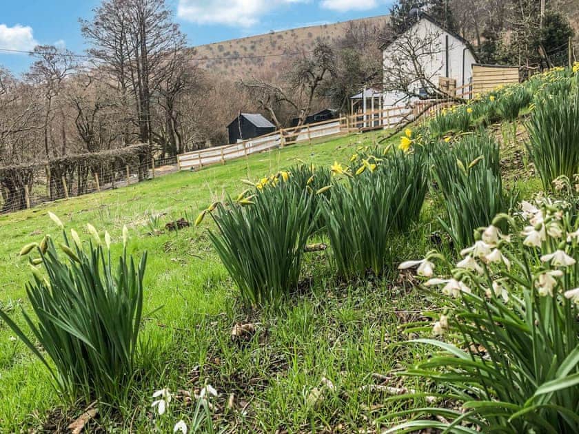 Surrounding area | Middle Hanter - Acre Luxury Lodges, Stanner, near Kington