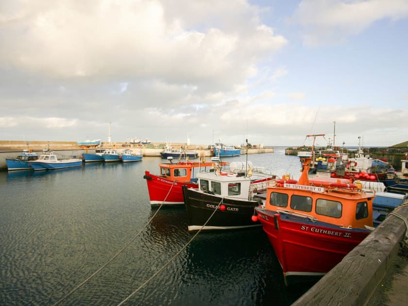 Surrounding area | Rodney, North Sunderland, Seahouses