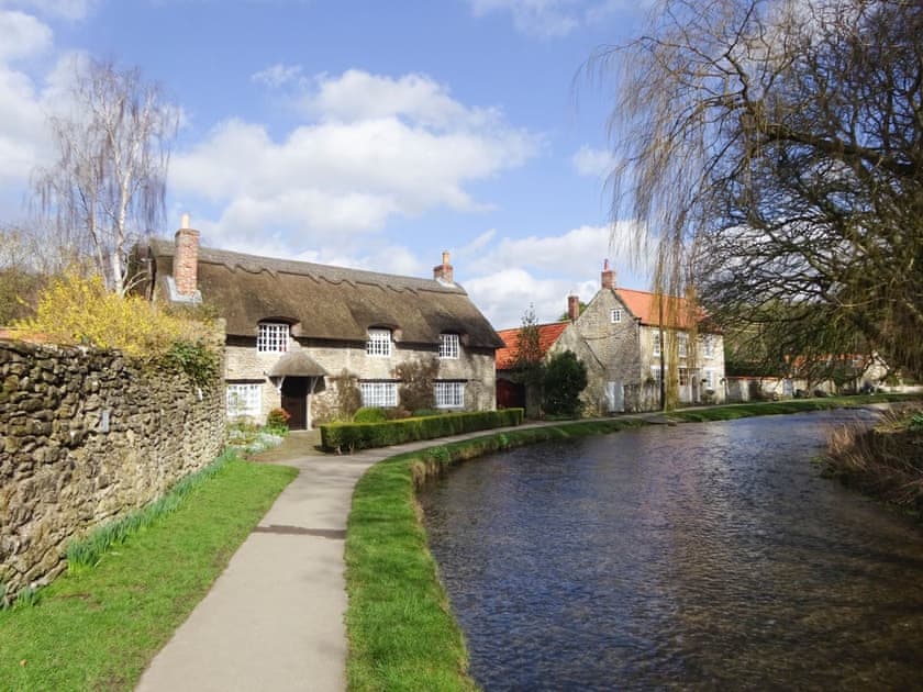 The famous thatched cottage in the village | Willowfield Cottage, Thornton-Le-Dale