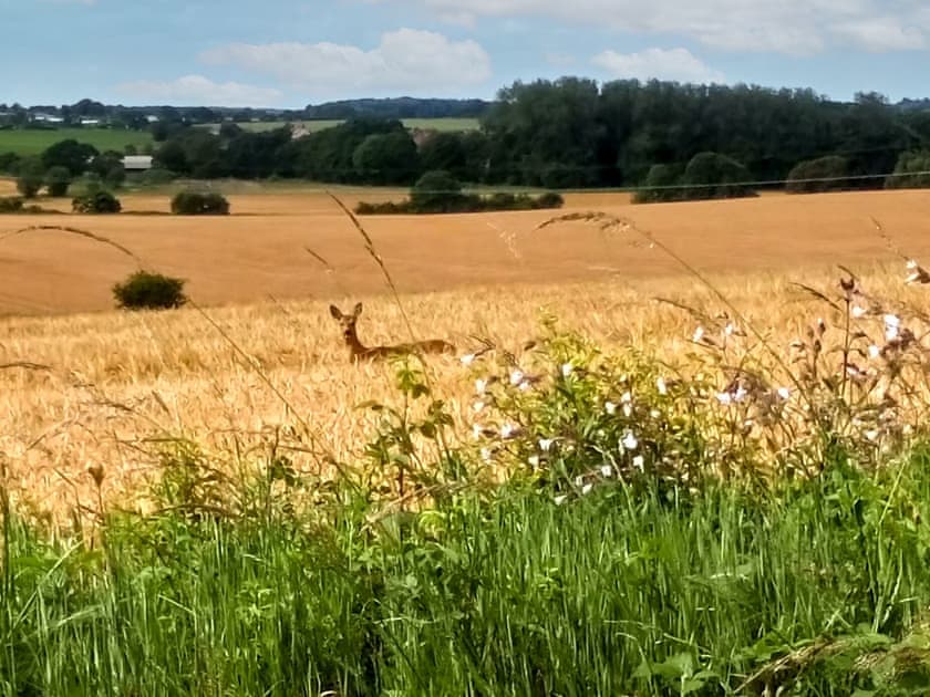 Surrounding area | The Tack Room, Gimingham