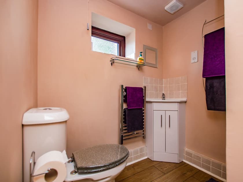 Bathroom | Red Kite Cottage, Maesymeillion, near New Quay