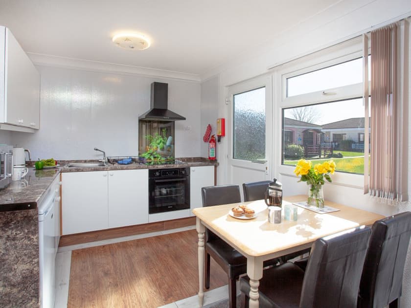 Kitchen area | 310 The Cove - Welcome Holiday Park, Dawlish