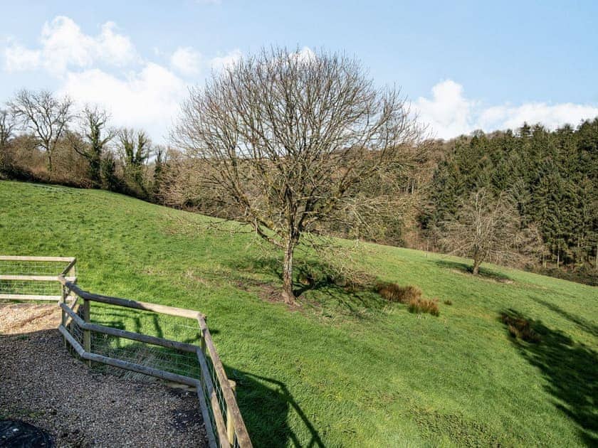 View | Maple Tree Cottage - Rockenhayne Farmstead, Branscombe