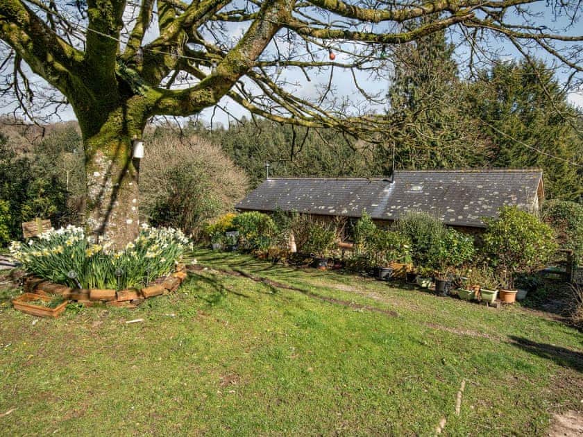 Garden | Maple Tree Cottage - Rockenhayne Farmstead, Branscombe