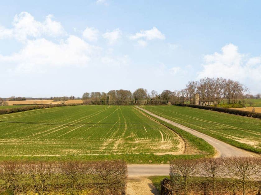 View | Hemblington Hall, Hemblington