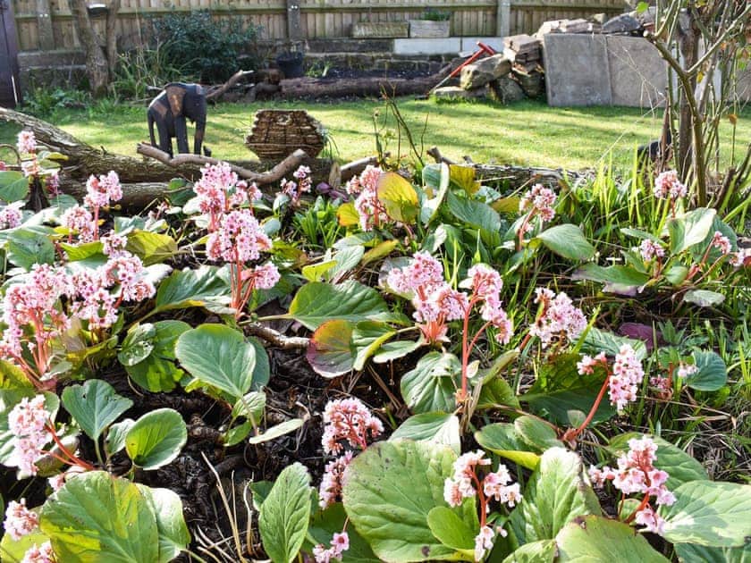 Garden | Windmill Cottage, Breadsall, near Derby