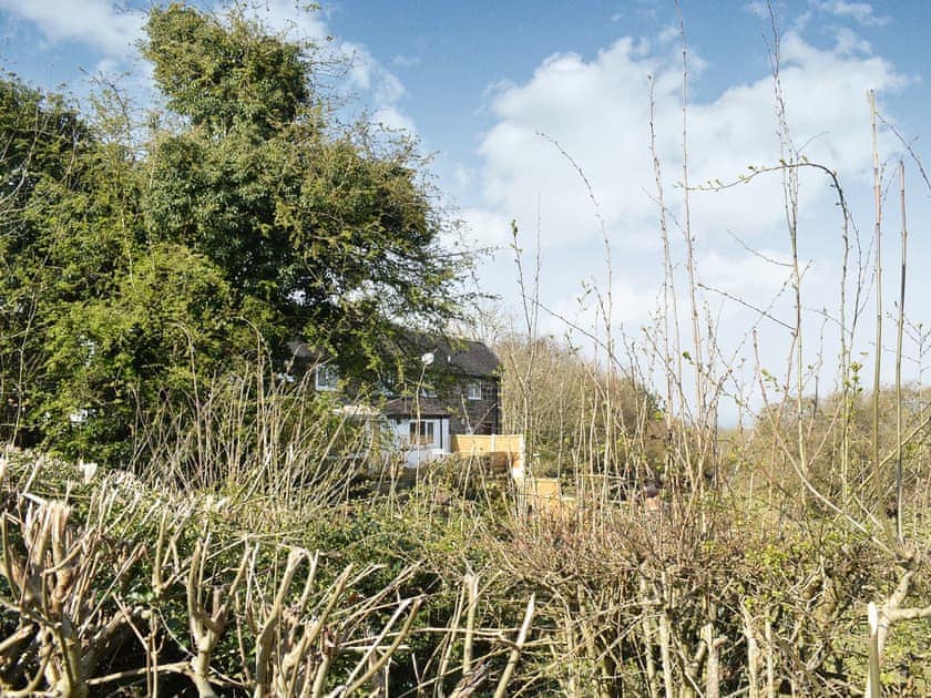 Garden | Windmill Cottage, Breadsall, near Derby