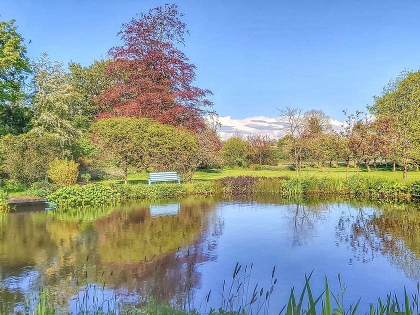 Driveway | Braeburn - Orchard Cottages, Pilton, near Shepton Mallet