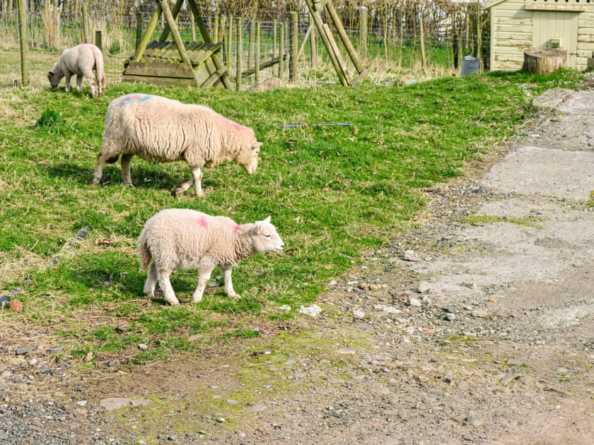 Outdoor area | Ty Olwyn Bach - Coity Bach, Talybont-On-Usk