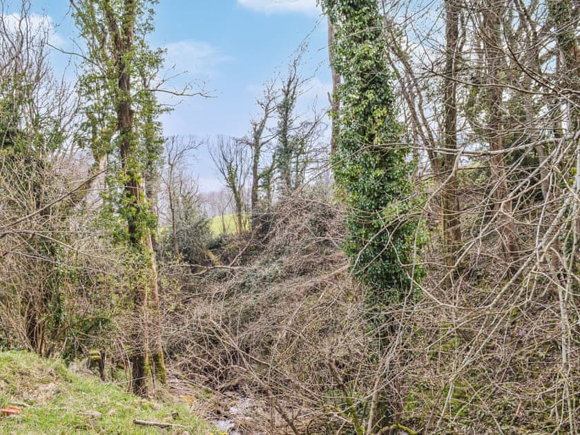 Outdoor area | Ty Bach Twt - Coity Bach, Talybont-On-Usk