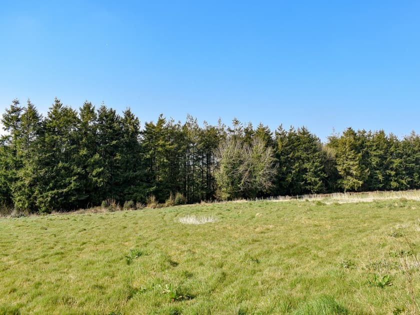 Garden and grounds | Piggy in the Middle, Piglet Cottage, Hog End - Old Highwood, Dunkeswell