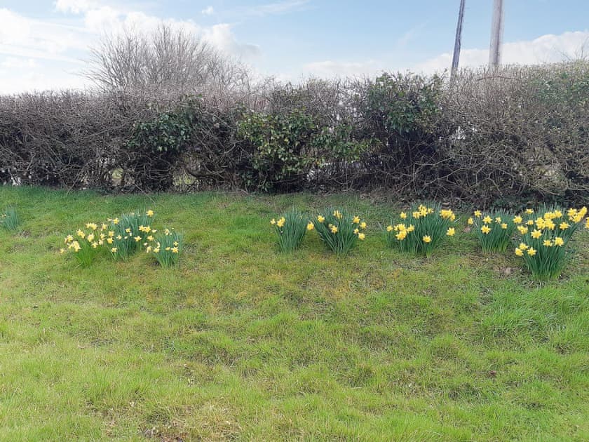Garden | Tirmynydd Farm Cottage, Gower, near Swansea