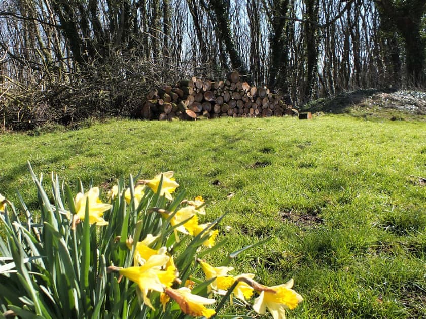 Garden | Olafs Cottage, Garlieston, Newton Stewart