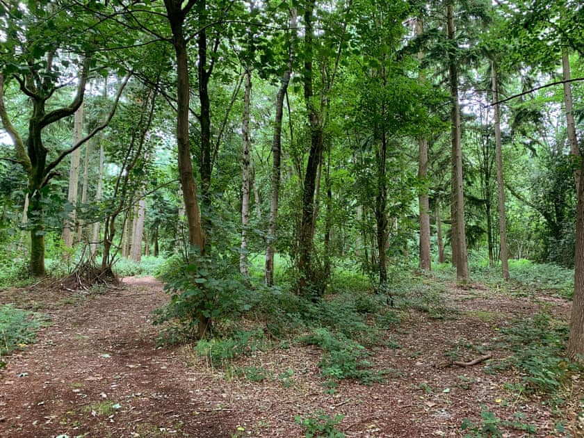 Garden and grounds | Chestnut Lodge - Wayside Lodges, Bromham