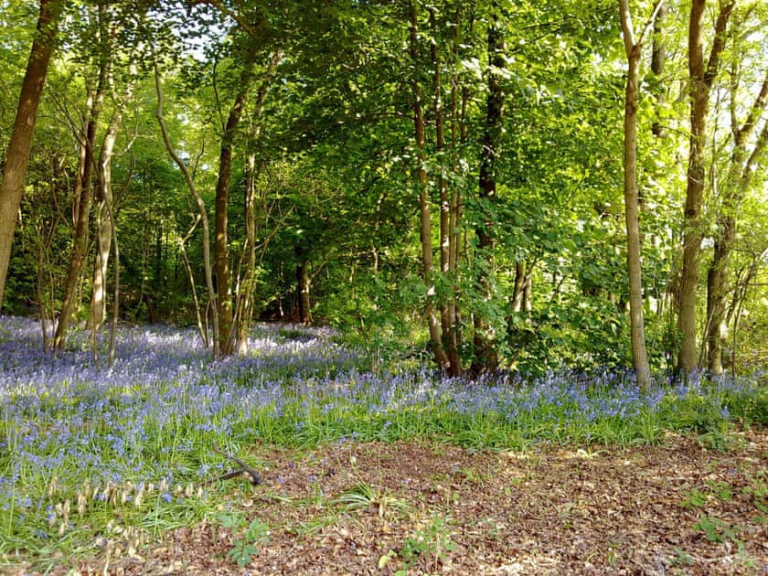 Garden and grounds | Chestnut Lodge - Wayside Lodges, Bromham
