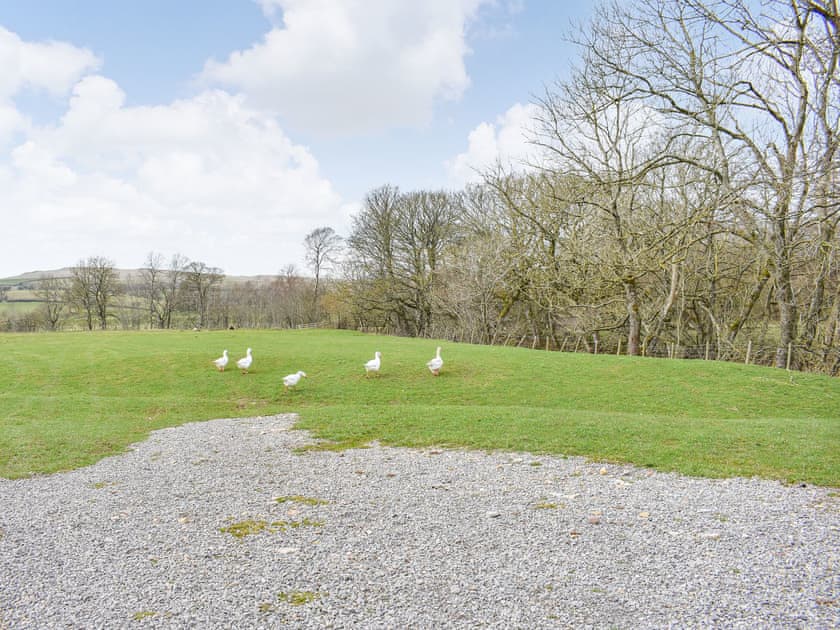 Outdoor area | The Ash - Smardale Mill Shepods, Smardale near Kirkby Stephen