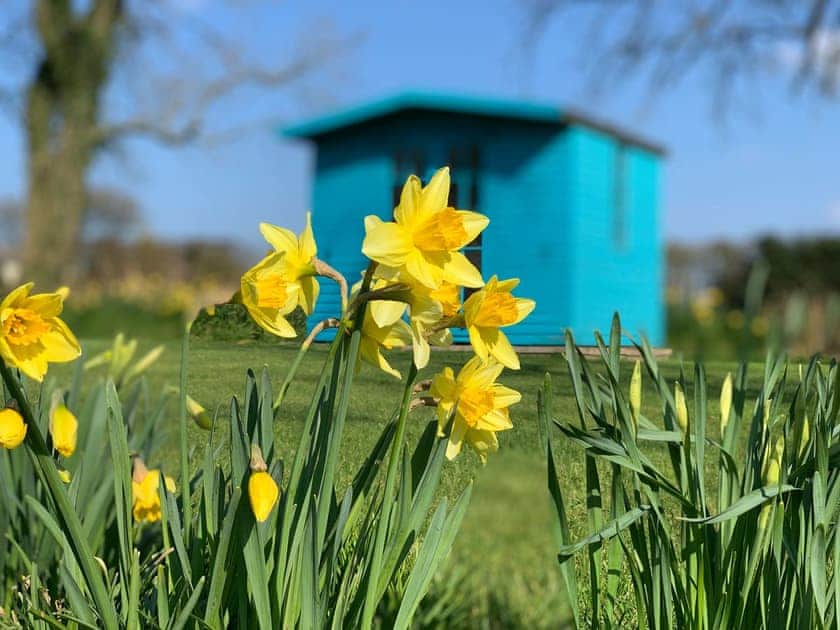 Garden | The Bungalow, Aikton, near Carlisle