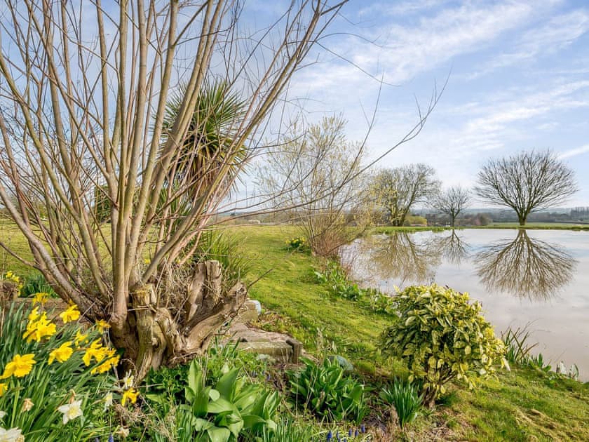 Garden and grounds | Cottage 8 - Willow Lakes, Ashby cum Fenby