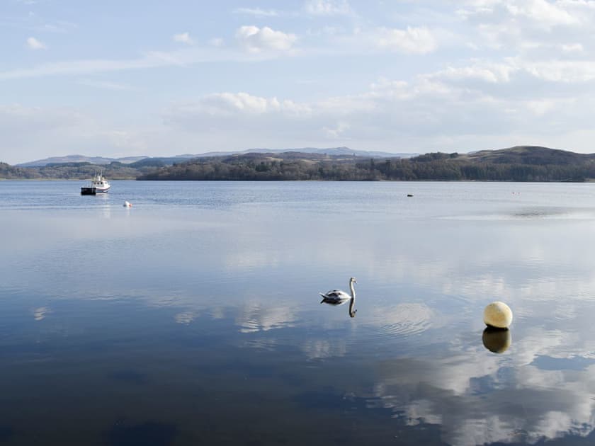Loch Etive | Dundonald Landing - Palm 3, Dundonald Landing - Palm 2, Dundonald Landing - Palm 1 - Dundonald Landings, Oban
