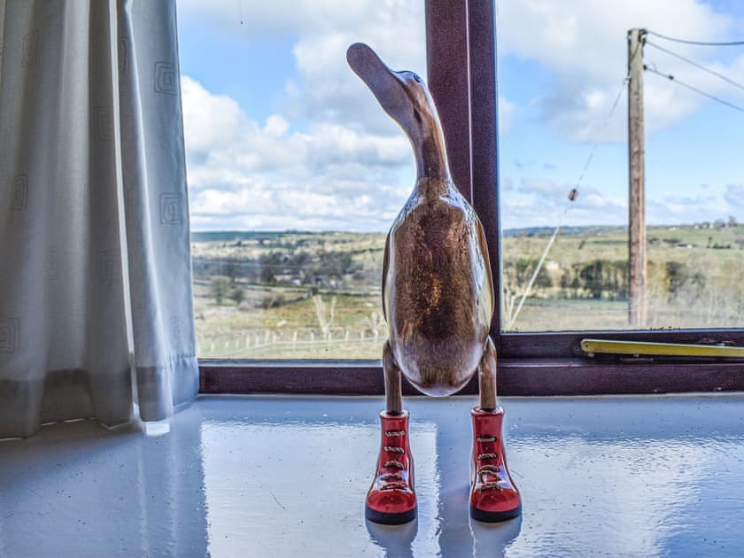 View | Meadow Cottage - Broomyshaw Farm, Leek
