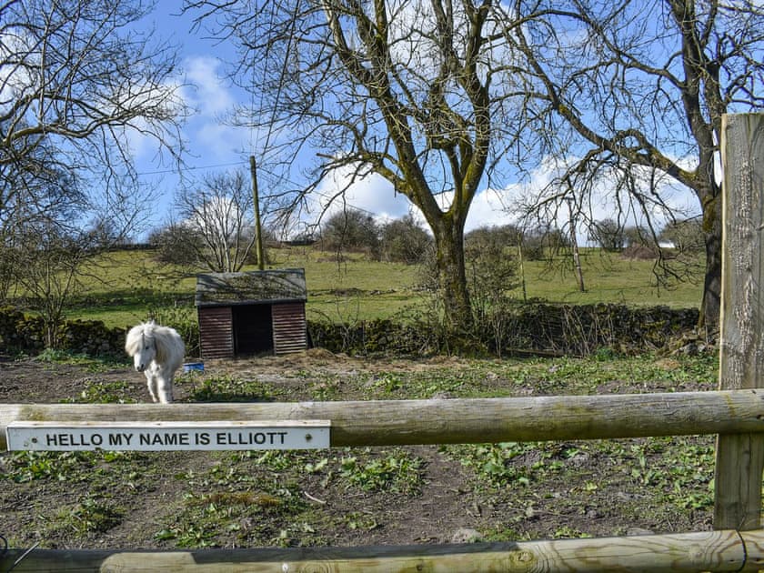 Garden and grounds | Stable Cottage - Broomyshaw Farm, Leek