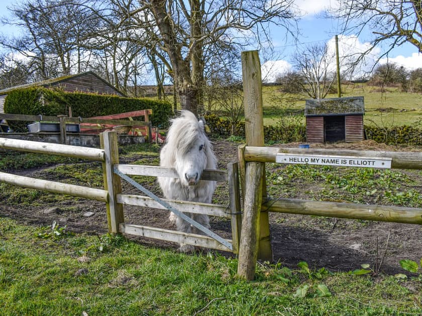 Garden and grounds | Swallow Cottage - Broomyshaw Farm, Leek