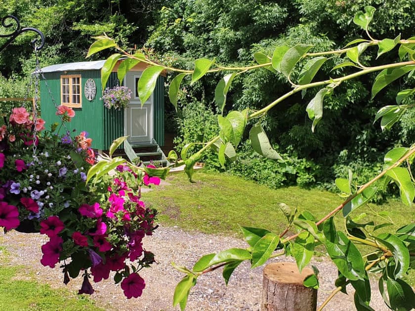 Exterior | Dorset Alpaca Shepherd’s Hut, Dorchester