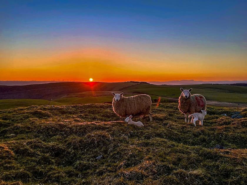 Surrounding area | Blaen Y Cwm, Carno