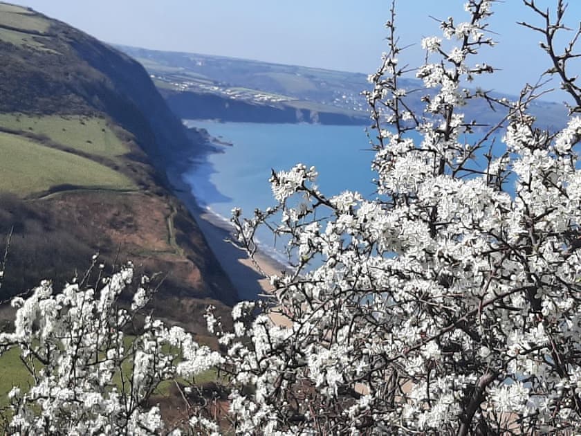 Surrounding area | Red Kite Cottage, Maesymeillion, near New Quay