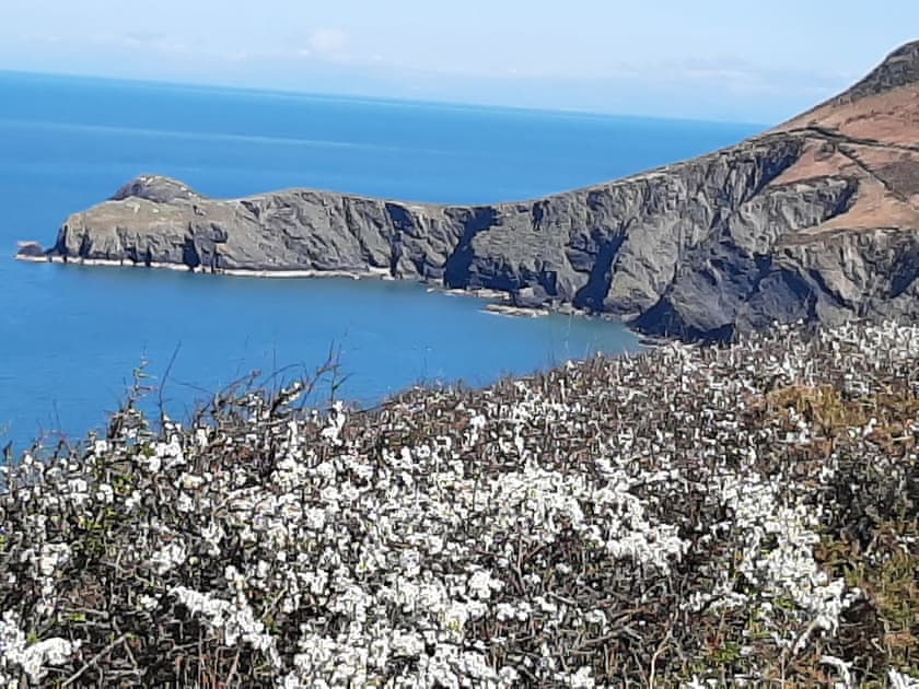 Surrounding area | Red Kite Cottage, Maesymeillion, near New Quay