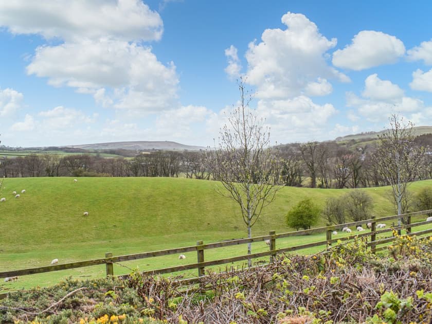 View | Ammonite Cottage, Whitby