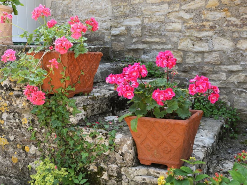 Steps decorated with flower pots | Garden Flat, Pilton, near Glastonbury