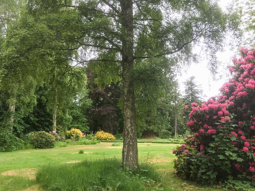 Front lawn in spring | Reidochie - Princeland Cottages, Coupar Angus, near Blairgowrie