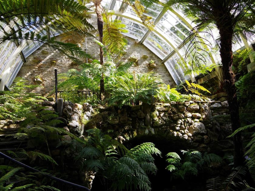 The fernery at Benmore Botanic Garden  | Ard Darach Lodge, Dunoon