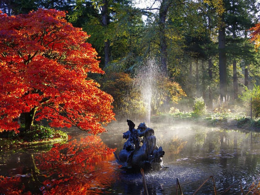 The pond at Benmore Botanic Garden  | Ard Darach Lodge, Dunoon