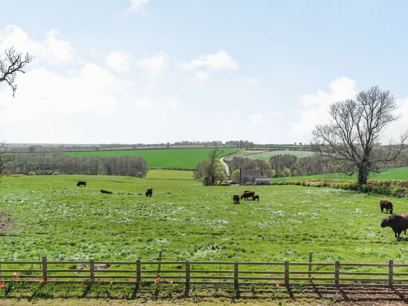Surrounding area | Lizzie’s Cottage, Fordington