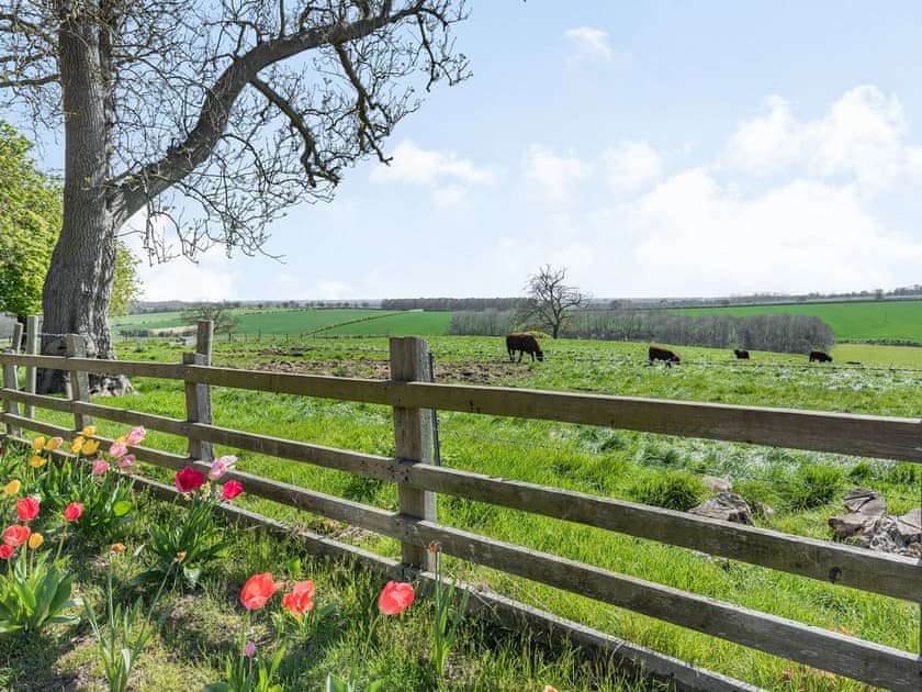 Surrounding area | Lizzie’s Cottage, Fordington